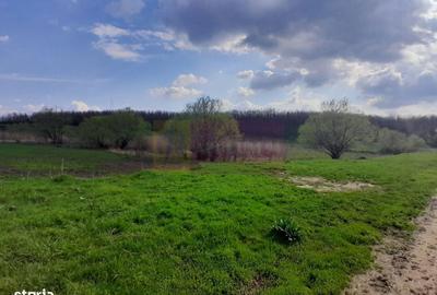 Spațiu comercial, în Buturugeni - 11