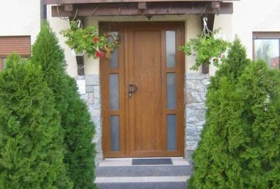 Apartament cu 2 camere decomandat în Braytim - 6