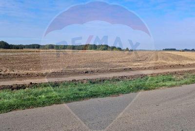 Teren 21,177mp Santaul Mic / Strada - - 3