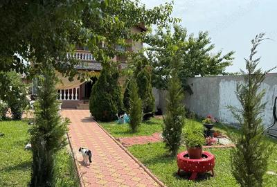 Casa spa?ioasa de vanzare in Balaceanca Cernica - 11