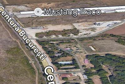 Centura Pantelimon Suprafata Compacta 71 889mp(40eur/mp)Teren Extravilan - 3