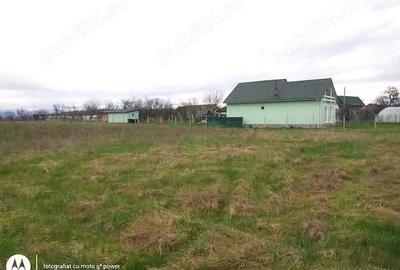 Teren de 844 mp, în Lăpuș - 3