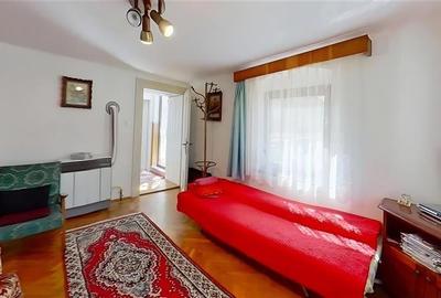 Poveste saseasca la umbra vitei de vie, cu crama si gradina cu flori, Central Co - 21