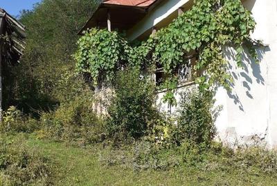 Casă cu 2 camere cu Teren 3100 Mp în Bunești (Mălureni) - 10