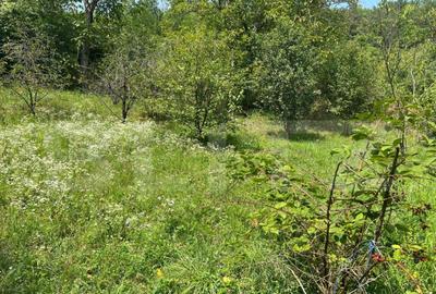 Casa Str. Negoiului, 2.249 mp teren, zona lini?tita, ved - 4