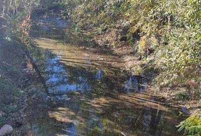 Teren intravilan 1781 mp în Băile Olănești – zonă turistică - 5