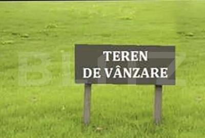 Teren, 4902 mp, Udesti