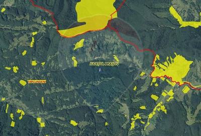 Teren 5500 mp, Valea Sasului, sat Dalghiu, com Vama Buzaului - 9