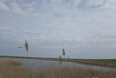 Teren de 230000 mp, în Crunți - 1