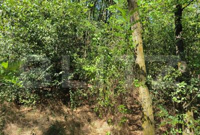 Teren 3000 mp - 1200 mp intravilan, zona Cuparu - 3