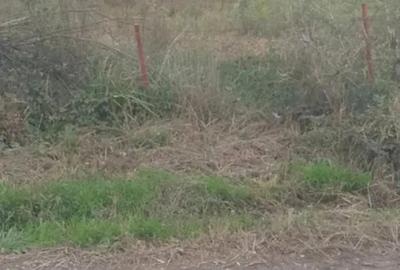 Teren de 507 mp, în Cisnădioara - 2