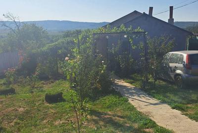 Casă cu 3 camere în Mogoșești - 1