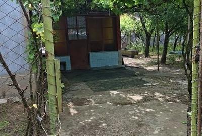 Casă cu 4 camere cu Teren 1600 Mp în Sadova - 2