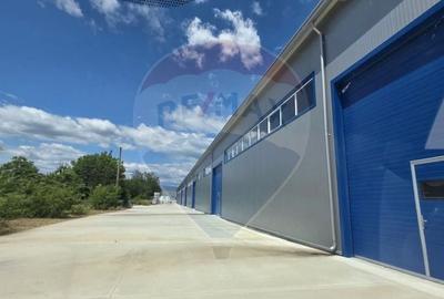 Spațiu industrial, de 9,618 mp, în Central - 11