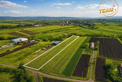 Teren intravilan de 5800 mp, în Dobolii de Jos