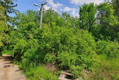 Teren Construcții intravilan de 834 mp, în Săcele - 4