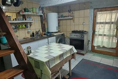 Casă cu 3 camere în Muntele Băișorii - 3