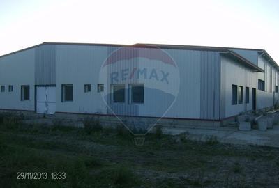 Proprietate industriala de vanzare - 102.420 mp - loc. Zauan jud.Salaj - 4