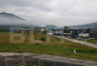 Casa spa?ioasa de inchiriat in Cisnadioara, judet Sibi - 11