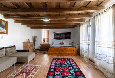 Casa / Vila cu 7 camere de vanzare - 7