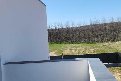 Casă cu 4 camere în Albota - 3