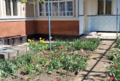 Casă cu 3 camere în Valea - 2