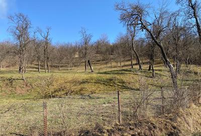 Teren de 3600 mp, în Exterior Vest - 2