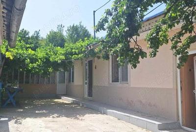 Casa de vanzare Epureni