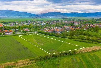 Teren agricol extravilan de 10000 mp, în Prejmer - 5