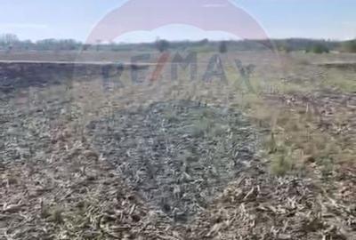 Teren 2,900mp Tantava / Strada Tufan - 1
