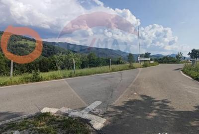 Teren de 128948 mp, în Munteni - 10
