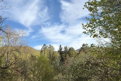 Teren de 1013 mp, în Cisnădioara - 1