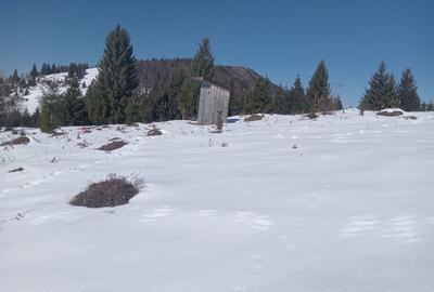 Spațiu comercial, în Piatra - 4