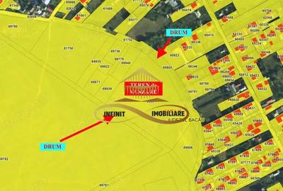 Teren intravilan | Ideal cartier rezidential | Lilieci - de vanzare - 8