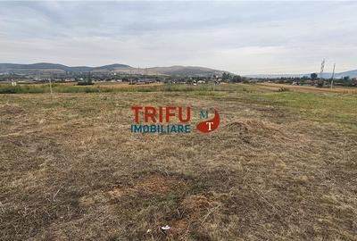 Teren de vanzare cu toate utilitatile in Orizont - 4