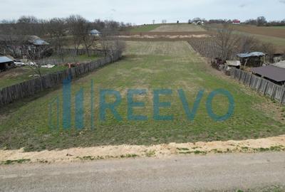 Teren de vanzare, Sat Bazga, Com. Horge?ti, Bacau - 1