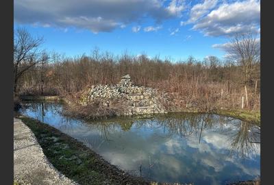 Casă cu 8 camere cu Canalizare în Drăguțești - 18