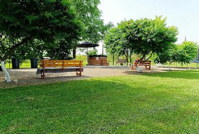 Casă cu 9 camere cu Teren 8000 Mp în Bârsana - 2
