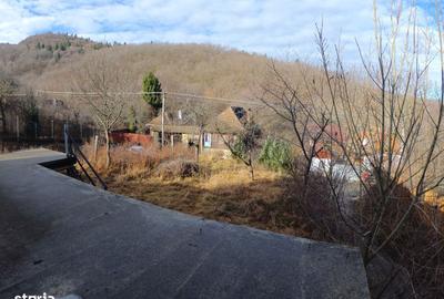 Casă cu 3 camere în Sibiel - 7