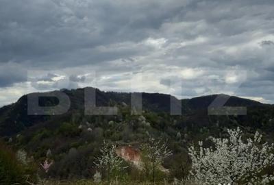 Casă cu 2 camere cu Teren 10000 Mp în Central