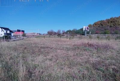 Teren de 12300 mp, în Crainimăt - 1