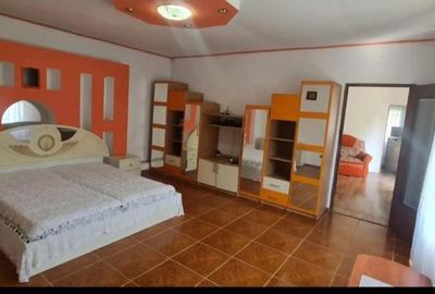 Apartament 2 camere - 320 euro - Sagului - 3