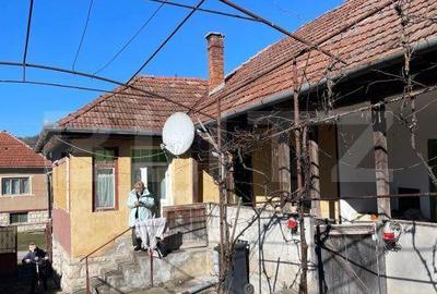 Casă cu 4 camere în Bica - 2