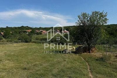 Teren de 3664 mp, în Henig