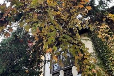 Casa Cotroceni | S+P+ET+POD | teren 188 mp - 2