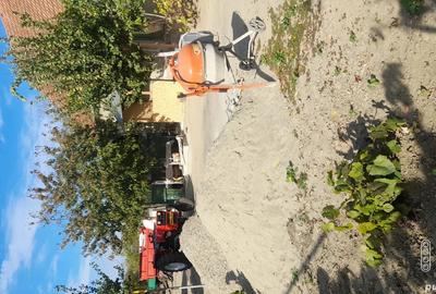 Casa de vanzare an sat igris Comuna Sanpetru Mare Casa de vanzare an sat igris Comuna Sanpetru Mare - 2