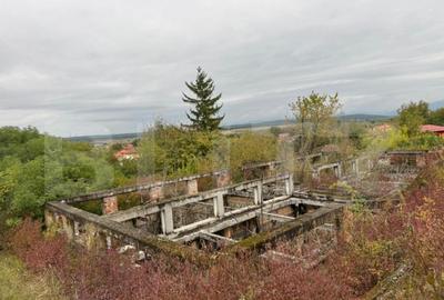 Teren intravilan 7362 mp, Oportunitate de investitie, - 2