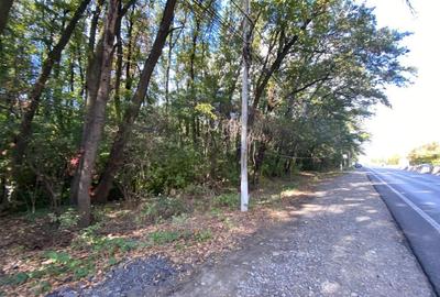 Teren de 37407 mp, în Corbeanca - 2