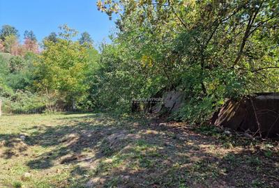 Resita Casa Zona Triaj - 12