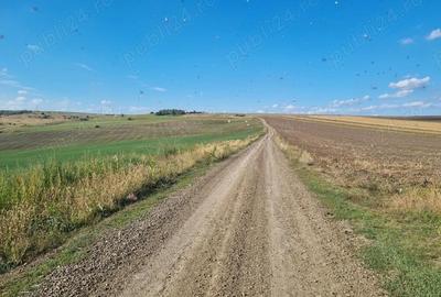 Teren în Central